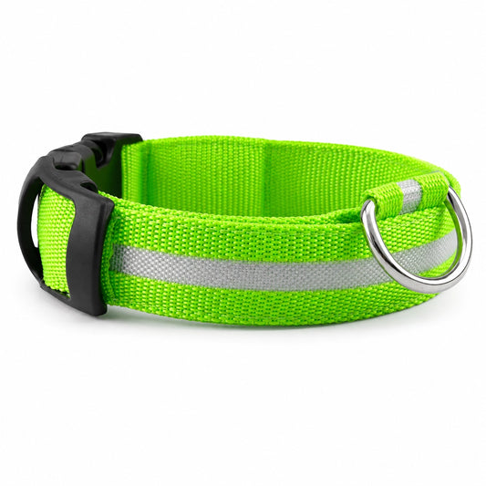 LED-Hundhalsband – Uppladdningsbart, Vattentätt & Reflekterande