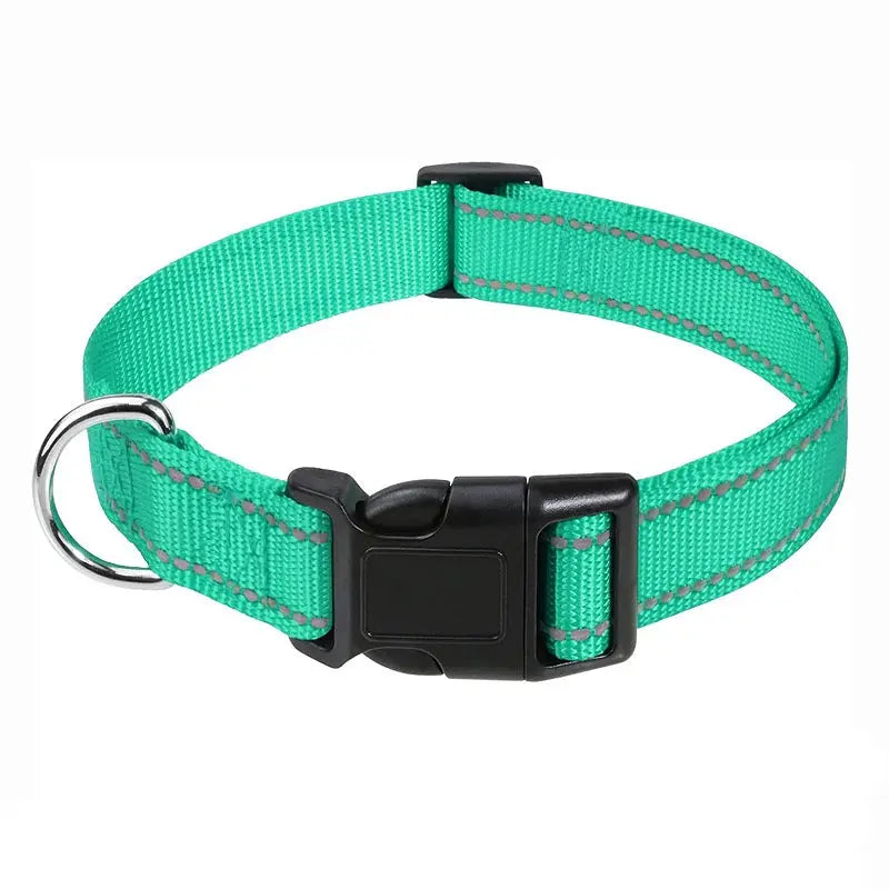 Basic hundhalsband i grön nylon med reflexdetaljer och justerbar passform.