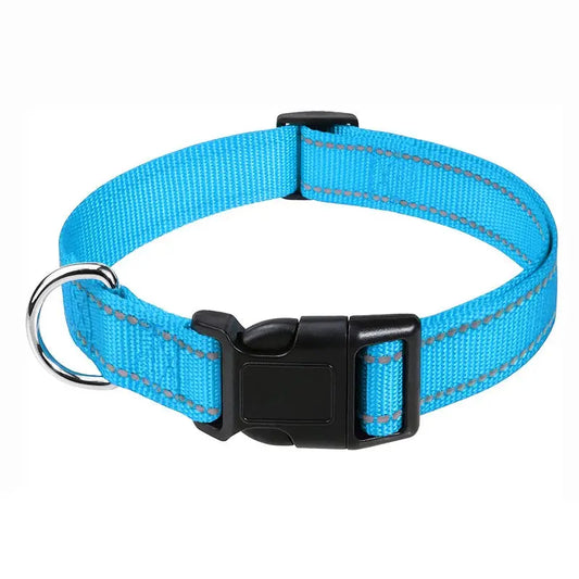 Basic hundhalsband i turkos nylon med reflexdetaljer och justerbar passform.
