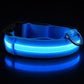 LED-Hundhalsband – Uppladdningsbart, Vattentätt & Reflekterande