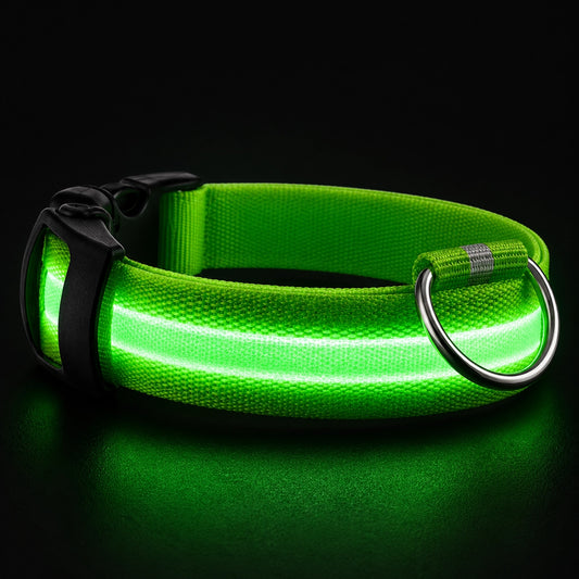 LED-Hundhalsband – Uppladdningsbart, Vattentätt & Reflekterande