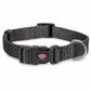 Trixie Premium halsband i grafit för valpar och små hundar med justerbar passform 15–25 cm.